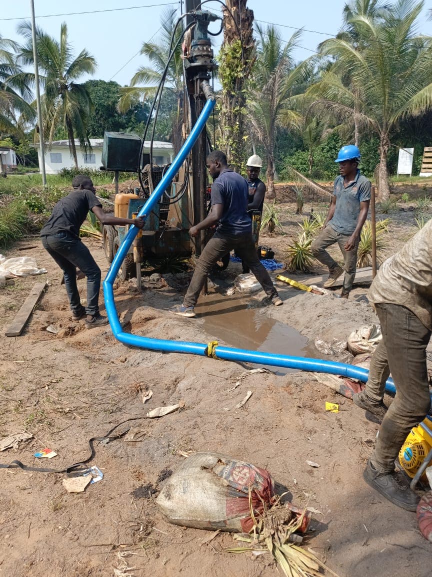 Foreuse rotative en opération